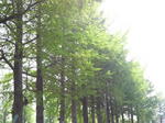 2010050512440000.jpg